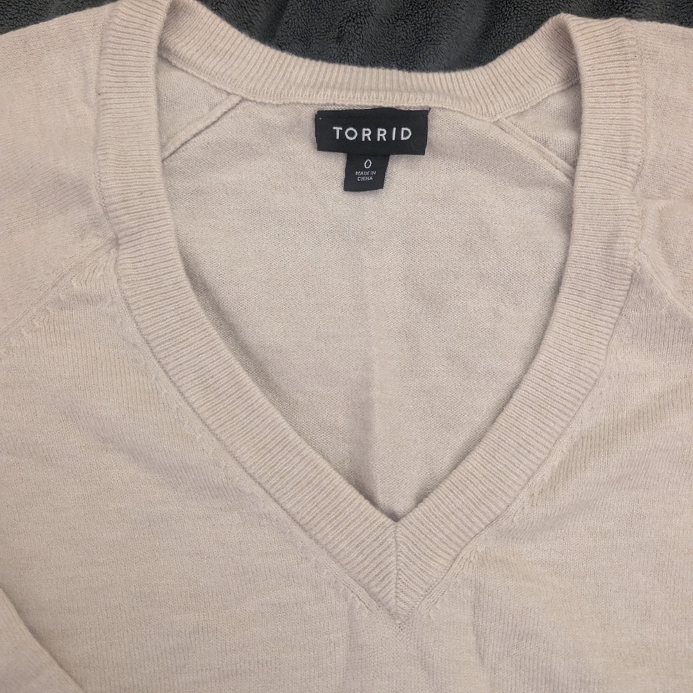 Torrid v-neck sweater